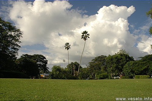 Photography. Offshore park landscape 100