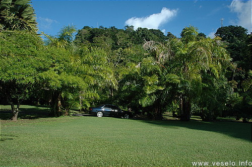 Photography. Offshore park landscape 120