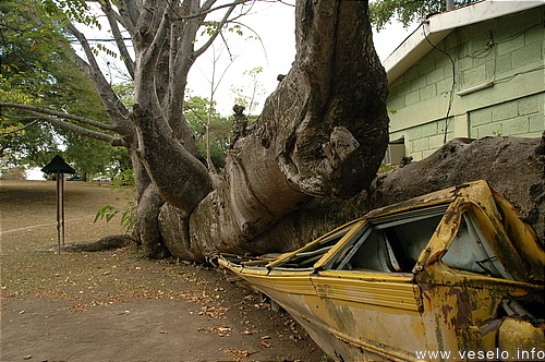 Photography. afterwards hurricane David