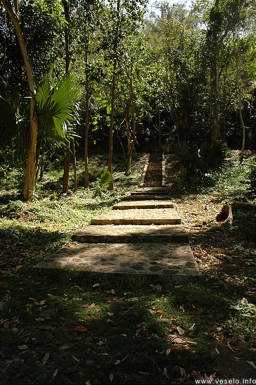 Photography. park staircase