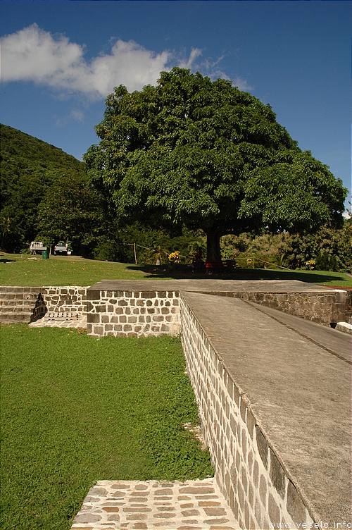 Photography. 135 park landscape