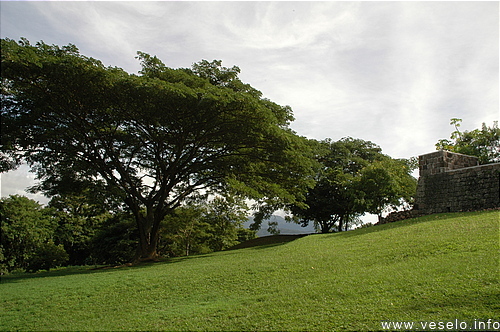 Photography. 137 park landscape