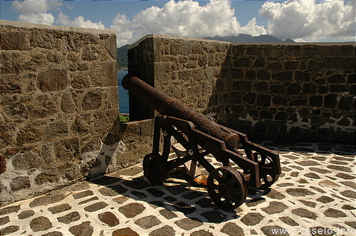 Photography. 316 Fort Shirley gun