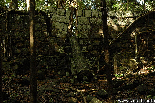 Photography. CNP battery old gun 0338