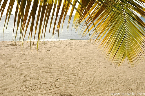 Photography. Caribbean Offshore Portsmouth beach 0041