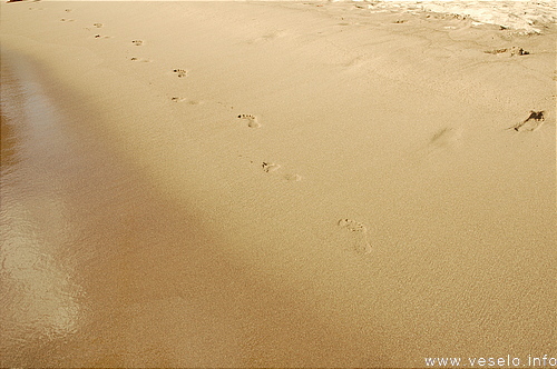 Photography. Caribbean Offshore Portsmouth beach 0167