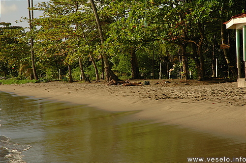 Photography. Caribbean Offshore Portsmouth beach 0188