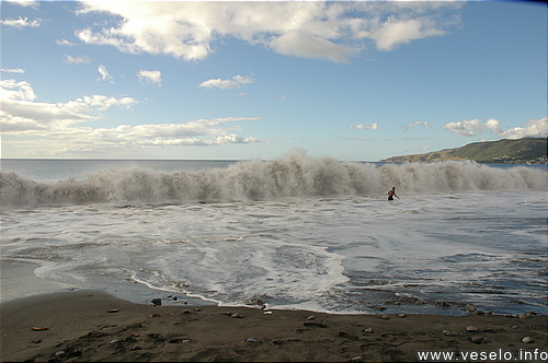 Photography. Donkey beach foam 0117