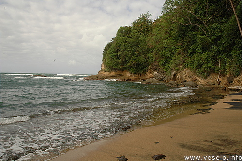 Photography. Red rock beach 0131