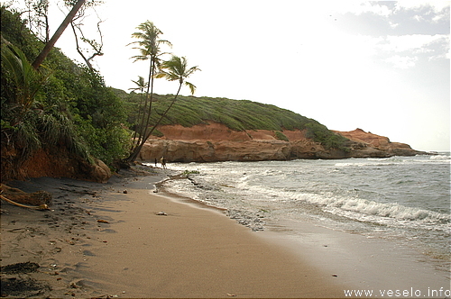 Photography. Red rock beach 0132