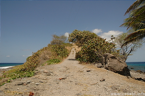 Photography. 500 Road to the sky