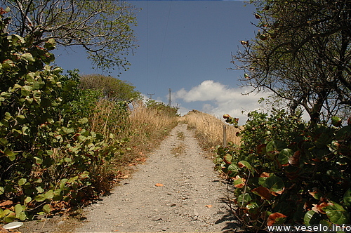 Photography. 501 Road to the sky