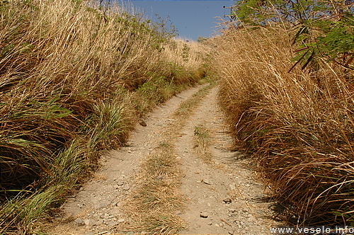 Photography. 502 Road to the sky