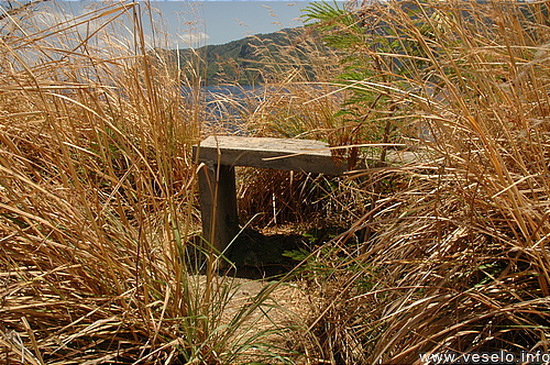 Photography. 503 caribbean bench