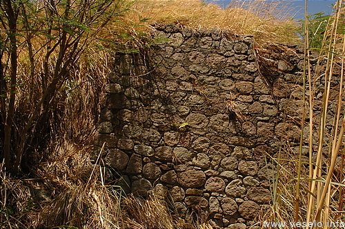 Photography. 520 old fort wall