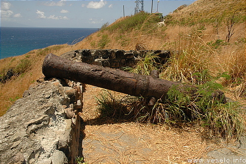 Photography. 524 old gun