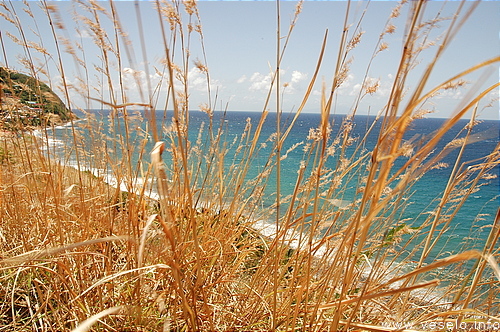 Photography. 533 sea foam at the caribbean shore and blue sea