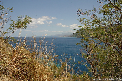 Photography. Scotts Head bay 0145