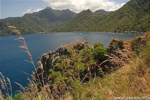 Photography. Scotts Head bay 0150