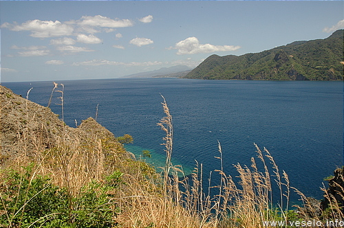 Photography. Scotts Head bay 0153