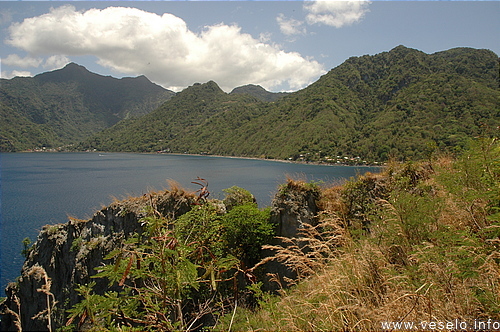 Photography. Scotts Head bay 0163