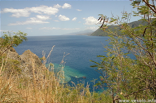 Photography. Scotts Head bay 0167