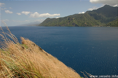 Photography. Scotts Head bay 0186