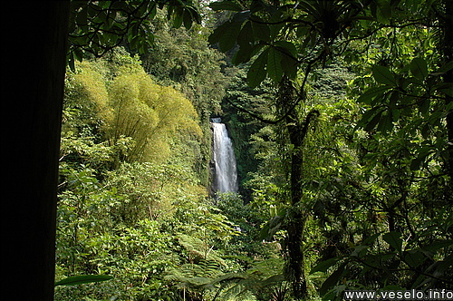 Photography. 103 waterfall in the tropical jungles