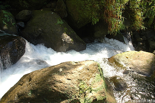 Photography. 147 dangerous stream and rocks