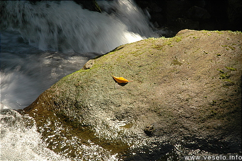 Photography. 148 relaxation on waterfall rock