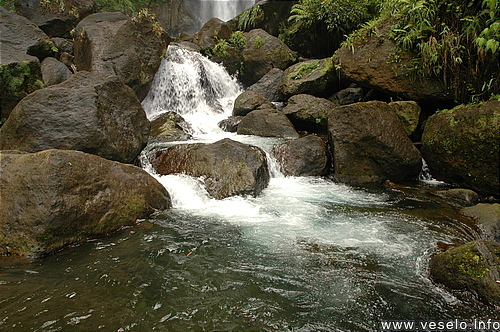 Photography. 555 green cold water