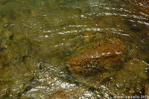 Photography. 560 nature mirror in the waterfall pool