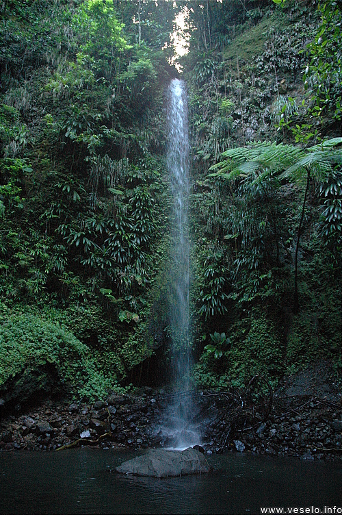 Photography. 001 Dominica Penrice Falls