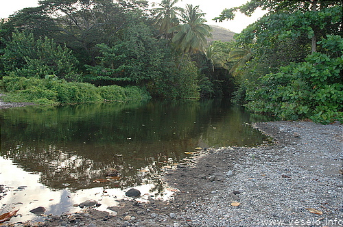 Photography. 026 Dominica river and jungle