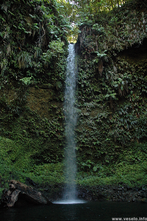 Photography. 244 secret magnificent Caribbean waterfall