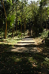 Photography #40: park staircase