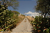 Photography #26: 501 Road to the sky