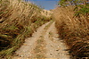 Photography #27: 502 Road to the sky