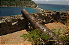 Photography #33: 525 old gun