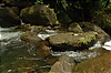 Photography #23: 562 tropical moss on the waterfall rocks