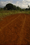  Red Rocks in Dominica - red way to red rocks