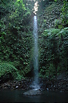 Photography #1: 001 Dominica Penrice Falls