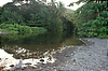 Photography #8: 026 Dominica river and jungle